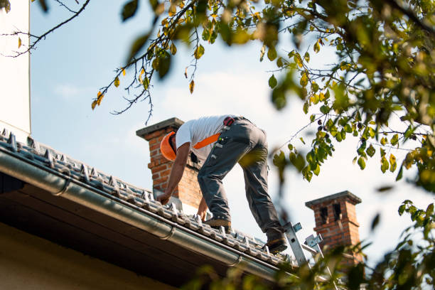 Best Roof Moss and Algae Removal  in Evanston, IL