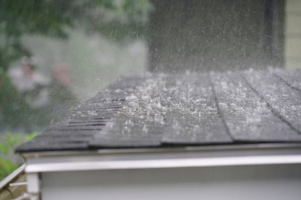Best Green or Eco-Friendly Roofing Solutions  in Evanston, IL