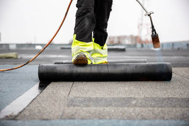Best Roof Insulation Installation  in Evanston, IL